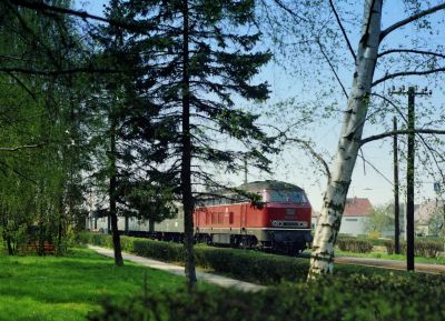 Fast wie im Park - 216 198-6 bei der Einfahrt in Weckesheim Richtung Nidda am 04.04.1978.
