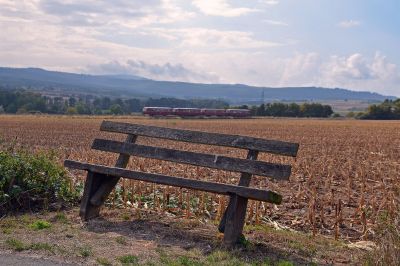 Landidyll mit dem Großen Feldberg im Hintergrund am 11.09.2022
